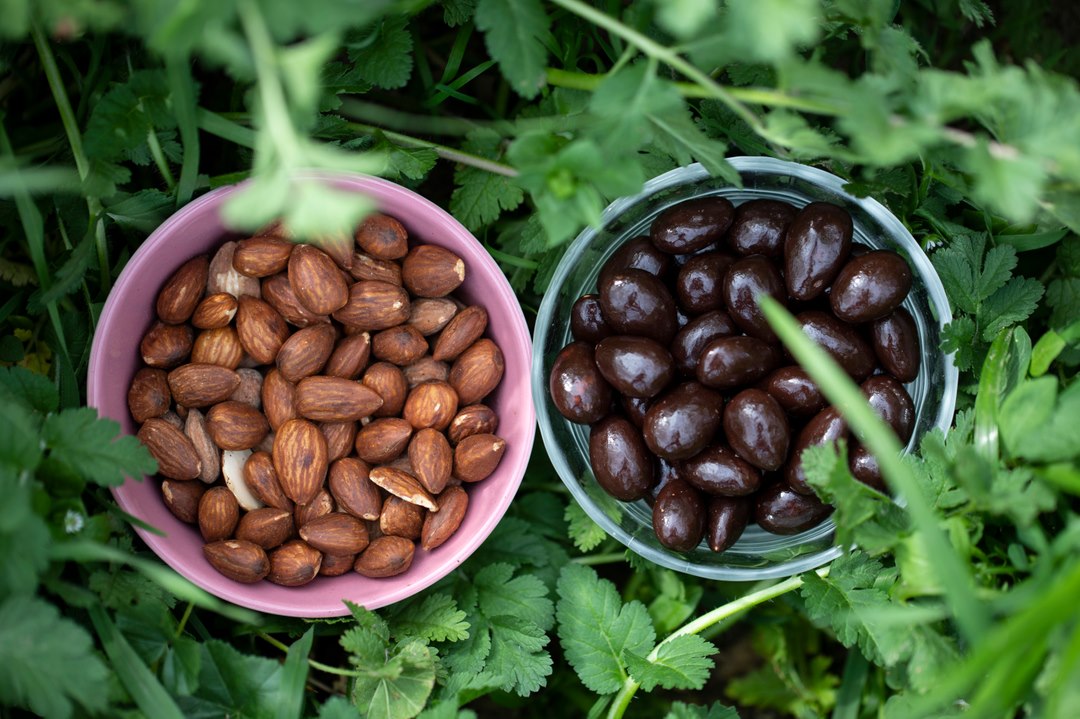 Two bowls of nuts sitting on top of a plant.