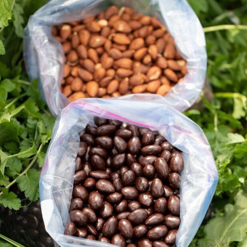 Two bags of beans sitting on top of a bed of green plants.